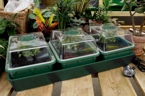 Heated 3 Tray Windowsill Propagator with Capillary Mat